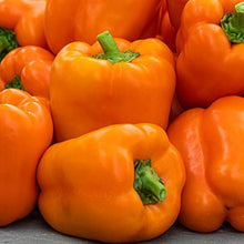 Sweet Pepper Seeds (Capsicum annuum) for a reliable harvest in the Orange Variety in Kitchen Garden