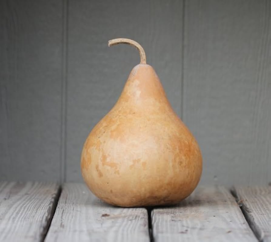 Gross - Martin for planting in home garden