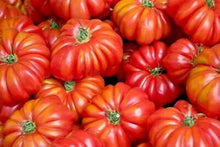 Eva Purple Ball Tomato Seeds for a productive addition to the vegetable patch
