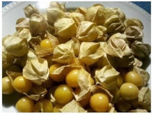 Tomatillo Husk Tomato Jamberry Kirsche Seeds prized among growers for tangy, Sweet Fruits