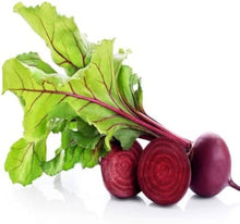 Beetroot Seeds (Beta vulgaris) for a productive addition to the vegetable patch