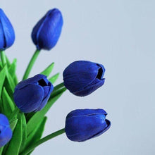 Blue Tulip ��������� Tulipa spp. ��������� for bonsai or garden planting