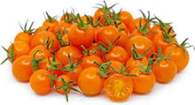 Sun Gold Tomato Seeds for a productive addition to the vegetable patch
