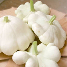 White Patisson Squash Seeds for growers stocking a kitchen garden