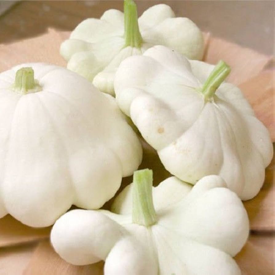 White Patisson Squash Seeds for growers stocking a kitchen garden