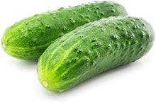 Boston Decapaggio Cucumber Seeds valued by growers for crisp Pickling Cucumbers