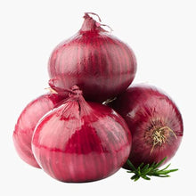 Red Bull Onion Seeds for growers stocking a kitchen garden