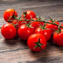 Cherry Tomato Solanum Lycopersicum vegetable Seeds for productive rows in the kitchen garden and balcony planters