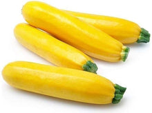 Sunbeam Squash Seeds for home growers seeking a reliable harvest