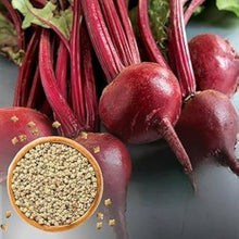 Beetroot Seeds (Beta vulgaris) for a fresh homegrown crop from the kitchen gardens and urban vegetable patches