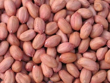 Champ Peanut Seeds (Arachis hypogaea) for seasonal color across the home gardens and edible patches