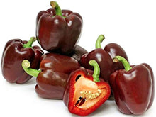 Chocolate Beauty Sweet Pepper Seeds (Capsicum annuum) for a reliable harvest in the Vegetable Patch or Urban Garden