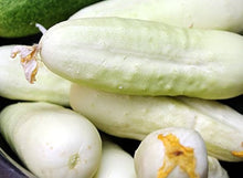 Cucumber Seeds for growers stocking a kitchen garden