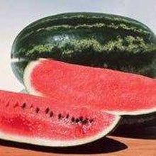 Kongo Watermelon Citrullus lanatus for planting in vegetable patch