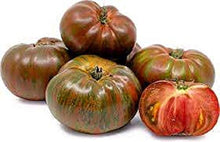 Black Zebra Tomato Seeds (Solanum lycopersicum) prized among growers for unique, striped heirloom tomatoes with rich, tangy flavor