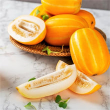 Melon Cucumis Melo Cantaloupe Seeds known for backyard Fresh Eating
