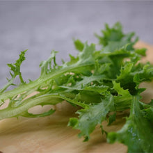 Japanese Green Mizuna Salad Seeds for a colorful addition to any planting