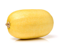 Spaghetti Squash Seeds for growers stocking a kitchen garden