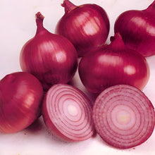 Onion Seeds (Allium cepa) for growers stocking a kitchen garden