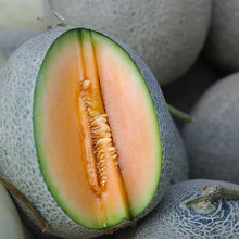 Cantaloupe ��������� Cucumis melo ��������� for vegetable patch planting