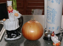Summer Island Onion Seeds for a productive addition to the vegetable patch