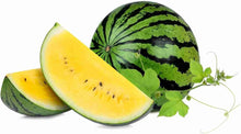 Yellow Watermelon Seeds for home growers seeking a reliable harvest