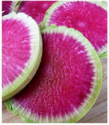 Watermelon Radish Seeds (Raphanus sativus) for a reliable harvest in the vegetable patch salad bed
