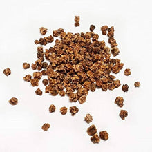 Blood Beetroot Seeds (Beta vulgaris) for growers stocking the kitchen garden and planting