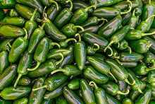Pumpkin Seeds (Cucurbita pepo) for productive rows in the backyard gardening or kitchen garden