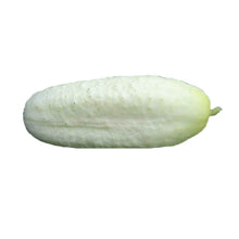 Cucumber Seeds for growers stocking a kitchen garden