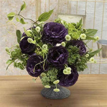 Lisianthus Eustoma Grandiflorum Black Pearl and Lime Green Seeds for a homegrown harvest from the Cut Flower Gardens