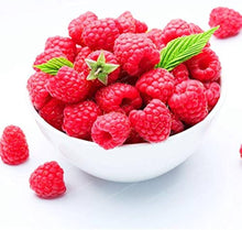 Red Raspberry Plant Seeds for a sweet addition to the home orchard