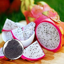 Dragon Fruit Hylocereus Costaricensis Rare Red Pitaya Seeds for a homegrown harvest from the Tropical Containers