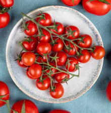 Heirloom Small Red Cherry Tomato Seeds valued by growers for sweet, Clusters of Tomatoes