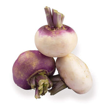 Turnip Brassica Rapa Seven Top Seeds for a reliable harvest in the Kitchen Raised Beds