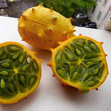 Kiwano horned cucumber seeds