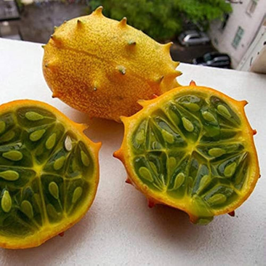 Cucumber Seeds
