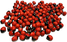Ravanello Sileziya Raphanus Sativus Seeds for a bright addition to the Flower Bed & Vegetable Patch