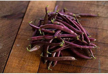Swan Bush Phaseolus Vulgaris Red Seeds for a lasting display in the Vegetable Patch Garden Rows