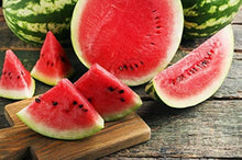 Mountain Hoosier Watermelon Seeds (Citrullus lanatus) for growers stocking the Vegetable Garden