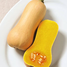 Narragansett F Hybrid Butternut Squash Seeds for a productive addition to the vegetable patch