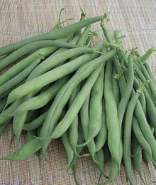 France Lago Blu Pole Bean Seeds for productive rows in the vegetable patch