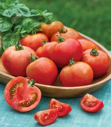 Mercato Gulf State Tomato Seeds for growers stocking a kitchen garden