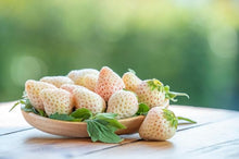 Pineberry Seeds for a sweet addition to the home orchard