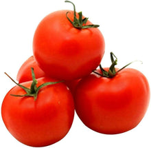 Organic Tomato Seeds valued by growers for mixed Pack of Various Tomato Types