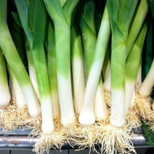 Chinese Garden Leek Seeds for a productive addition to the vegetable patch