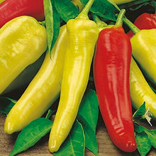 Hungarian Sweet Wax Pepper Seeds known for mild, Sweet Peppers
