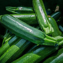 Tsuboda Zucchini Squash Seeds (Cucurbita pepo) for a fresh homegrown crop from the productive kitchen garden planting