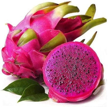 Pitaya Dragon Seeds (Hylocereus spp.) for growers planting the Vegetable Patch