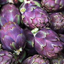 Artichoke Gardening for planting in home garden.